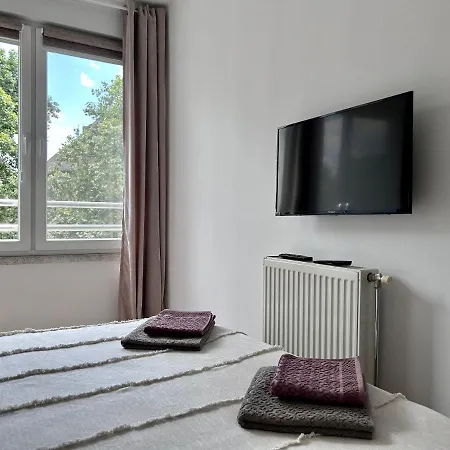 By The Synagogue * نوفي ساد